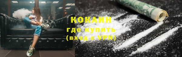 дживик Аркадак