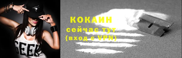 дживик Арсеньев
