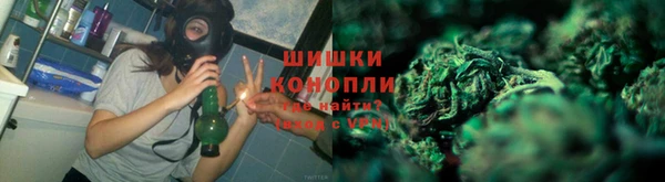 дживик Арсеньев