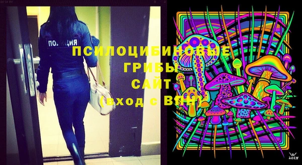 дживик Арсеньев